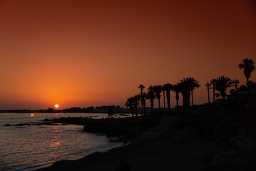 Beautiful sunset with palm trees in Kato Paphos.