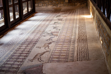 Ancient Greek floor mosaic in archaeologic park Kato Paphos, Cyprus.