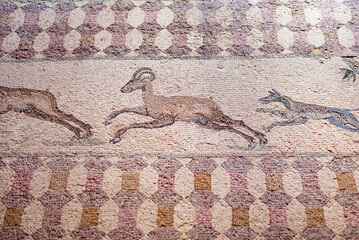 Ancient Greek floor mosaic in archaeologic park Kato Paphos, Cyprus.