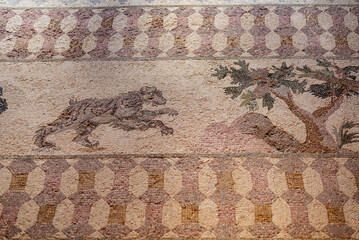 Ancient Greek floor mosaic in archaeologic park Kato Paphos, Cyprus.