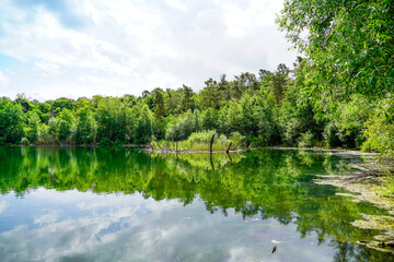Karlsternweiher near Mannheim. View of the small lake with green nature.
