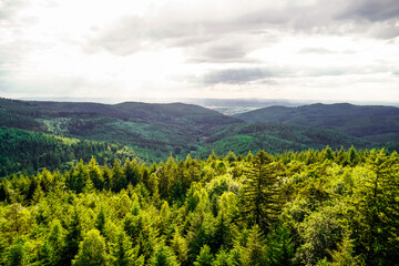 Panoramic view of the hilly landscape near Wilhelmsfeld, in Baden-Württemberg. Green nature with mountains and forests.

