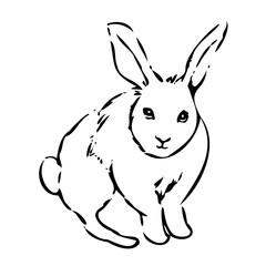 うさぎ線画イラストリアル和風テイスト（年賀状素材干支）