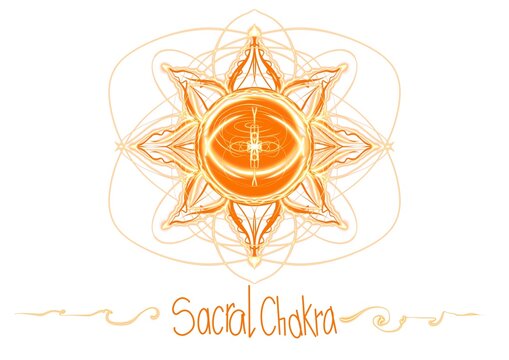 Svadhishthana sacral  orange chakra illustration 