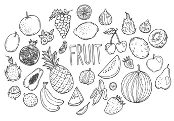 Fruits Doodle Icon Hand Made. Clip Art sketch Vector illustration. Fresh food concept