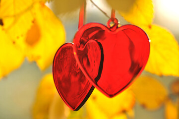 Red heart on autumn background 