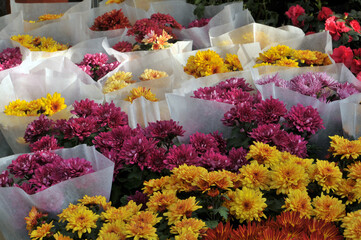flowers in the market