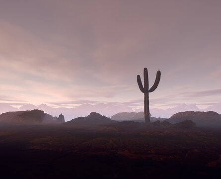 Cactus in a rocky desert landscape at sunset. 3D render.