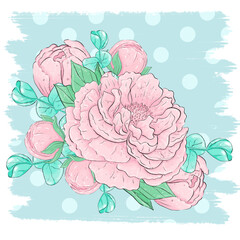 Bouquets of pink peony flowers and eucalyptus leaves. Graphic design elements. To create a logo, and postcards.