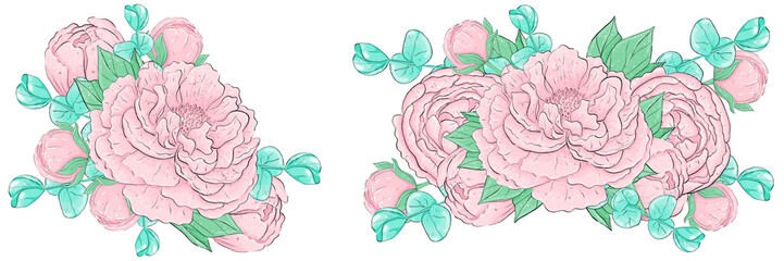Bouquets of pink peony flowers and eucalyptus leaves. Graphic design elements. To create a logo, and postcards.