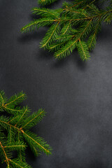 Photo in Good Quality, Spruce Branches on Dark Background with Copy Space. Empty Dark Table Top View