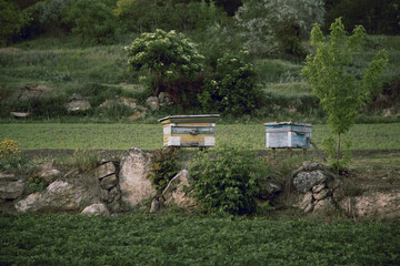 two clues, houses for bees in the village
