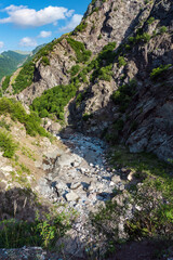 Fast mountain river in the gorge