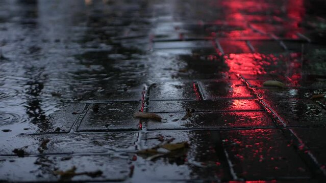 Walkway made of tiles flooded with puddles on a gray day.