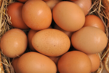 Fresh egg, A bunch of chicken eggs in a basket