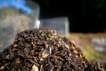 Compost pile, organic thermophilic compost turning in Tasmania Australia 