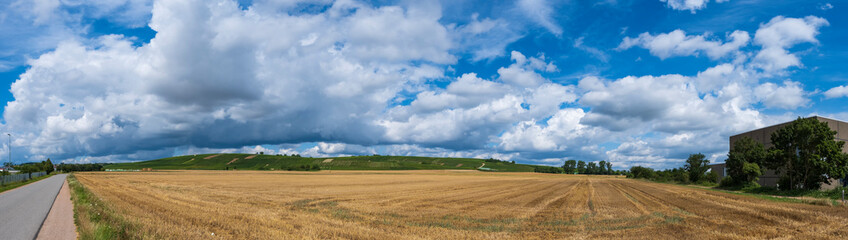 Fototapeta na wymiar View over a harvested grain field towards vineyards in the background in Rhenish-Palatinate/Germany