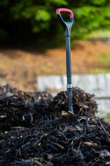 turning a compost pile in a community garden. compost full of microorganisms. sustainable regenerative agriculture with a soil sample