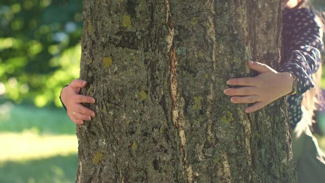 Woman is hugging big trunk of tree, close up to hands. Nature love