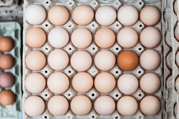 Jajka, Kurze jajka, zdrowe jajka, Jajka w pojemniku, jajka od zdrowych kur, kury z wolnego wybiegu, kolorowe jajka, eggs, healthy eggs - obrazy, fototapety, plakaty