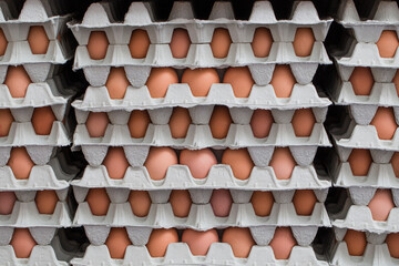 Jajka, Kurze jajka, zdrowe jajka, Jajka w pojemniku, jajka od zdrowych kur, kury z wolnego wybiegu, kolorowe jajka, eggs, healthy eggs - obrazy, fototapety, plakaty