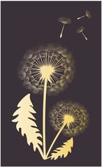 Vector illustration of Silhouette dandelions on a dark  background.
EPS10 for logos or labels, postcards, posters, stickers, wall decor, wallpaper,  etc. Wall art for decor.
