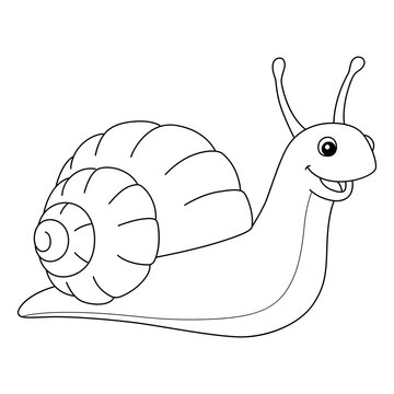 recommend clip art: Snail Animal Coloring Page for Kids