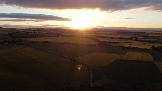 Drone photography of endless green fields at sunset.