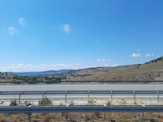 plant in the mountains