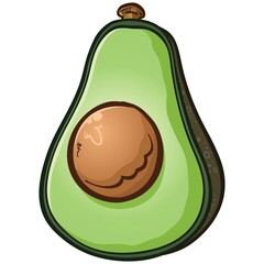A half of fresh ripe green avocado fruit cartoon vector illustration - 516952390