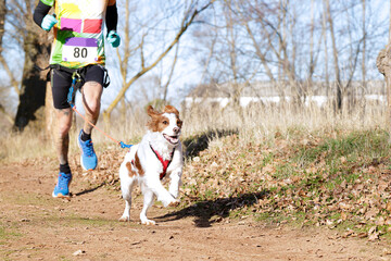 Dog and man taking part in a popular canicross race.