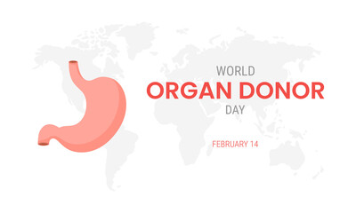 National organ donor day with Stomach