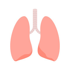 Lungs isolated on white background
