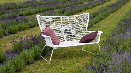White bench in a lavender field with selective focus