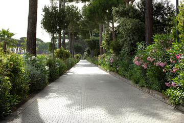 Oleander, Petunias, surfinia, Alley, path, lane, arrangement, walk in the park, clean, well-kept garden, cobblestones