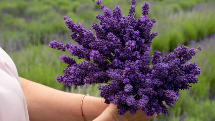 Woman with bouquet of beautiful lavender flowers outdoors, closeup.