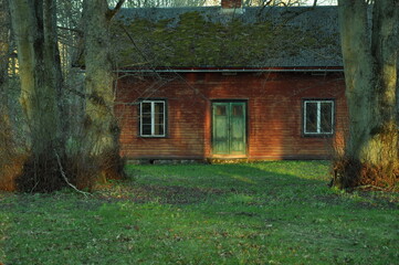 Fototapeta na wymiar Abandoned house in the woods