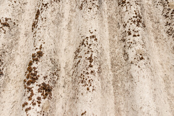 Old dangerous asbestos roof. Asbestos dust in the environment. Health problems.closeup.