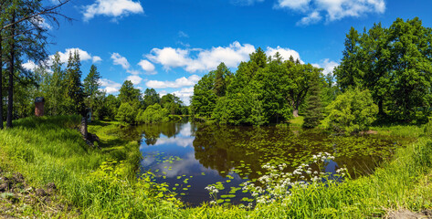 A picturesque summer landscape on the shore in the Priyutino estate. Vsevolozhsk. Leningrad region.