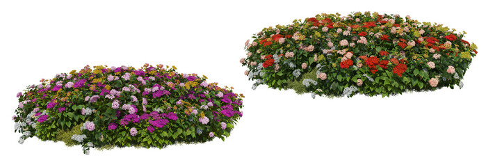 Colorful flower garden on a white background