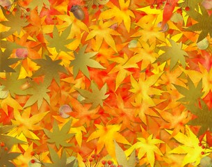 Naklejka na ściany i meble もみじと木の実の敷き詰められた大胆でオシャレな和風豪華な秋のイメージフレームイラスト壁紙素材