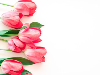 Delicate pink tulips on white with a place for text.