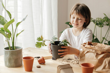 A teenage girl holds a flower pot with a home plant in her hands. Landscaping at home with the kids. Gardening is like a hobby for kids.