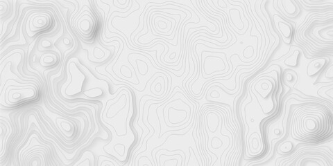 White wave paper curved reliefs maunt map abstract background, Abstract topographic contours map background, Topography map background. Vector geographic contour map.