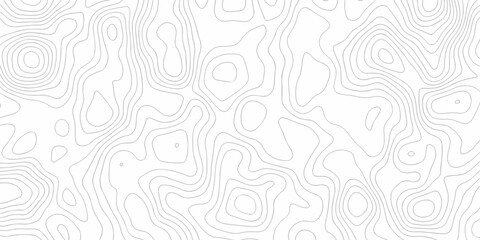 Topographic map background. Line topography map contour background, geographic grid. Abstract vector illustration.