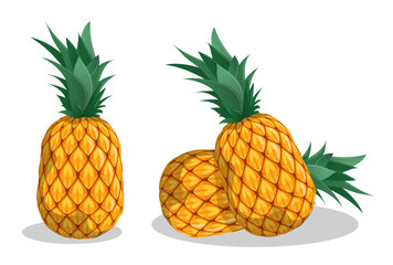Juicy ripe pineapple, ananas. Harvesting tropical fruits. Cartoon realistic vector isolated on white background