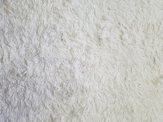 Wool Texture 