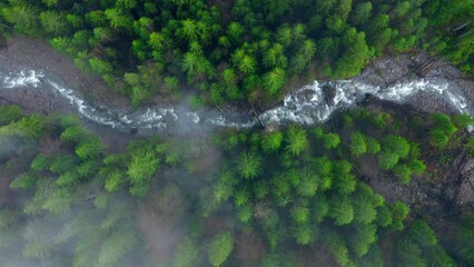 Top up aerial view through the clouds Snaky mountain river flowing in the misty forest - Powered by Adobe