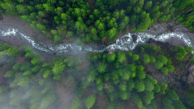 Top up aerial view through the clouds Snaky mountain river flowing in the misty forest