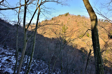 丹沢の大山三峰山より雪の山地に朝日の能ノ爪（熊ノ爪）
